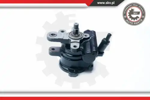 Насос гидроусилителя руля SKV 10SKV209