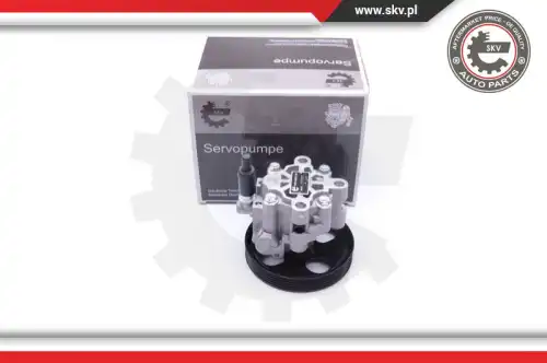 Насос гидроусилителя руля SKV 10SKV287