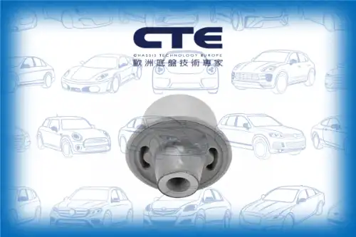 Рычаг подвески CTE CBH03038