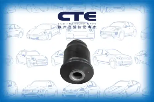 Рычаг подвески CTE CBH03039