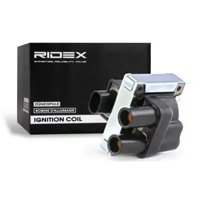 Катушка зажигания RIDEX 689C0012