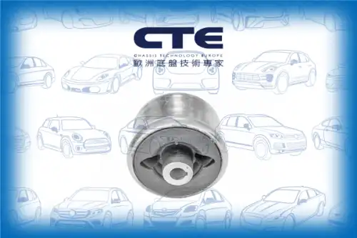 Рычаг подвески CTE CBH03036