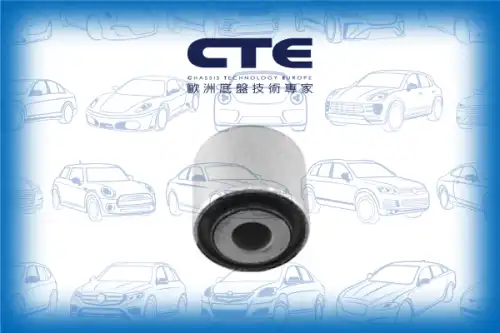 Рычаг подвески CTE CBH32003