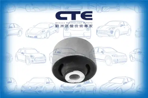 Рычаг подвески CTE CBH17024