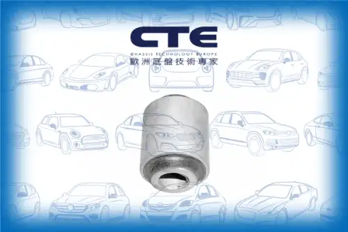 Рычаг подвески CTE CBH01032