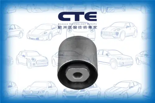 Рычаг подвески CTE CBH31010