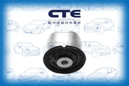 Рычаг подвески CTE CBH19022