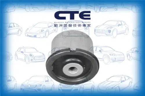 Рычаг подвески CTE CBH19033