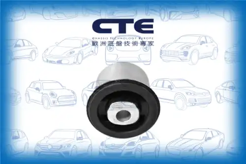 Рычаг подвески CTE CBH20011
