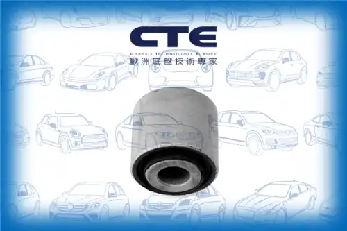 Рычаг подвески CTE CBH17022