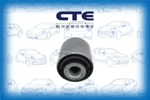 Рычаг подвески CTE CBH31023