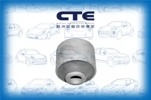 Рычаг подвески CTE CBH01025