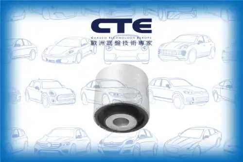 Рычаг подвески CTE CBH19020