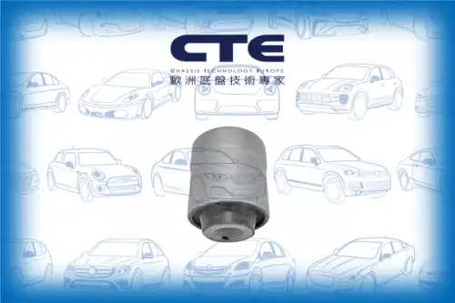 Рычаг подвески CTE CBH05020