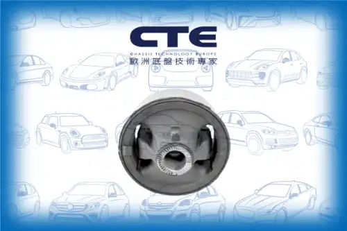 Рычаг подвески CTE CBH02040