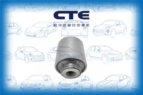 Рычаг подвески CTE CBH03047