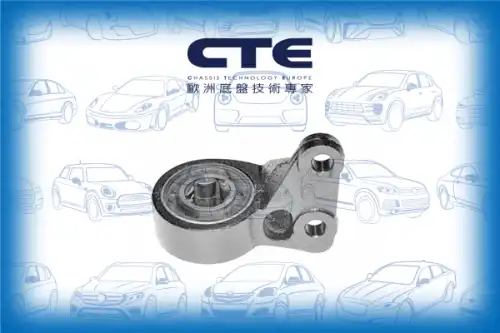 Рычаг подвески CTE CBH31003R