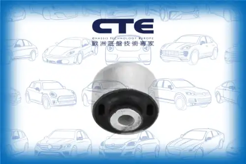 Рычаг подвески CTE CBH19018