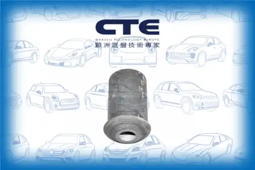 Рычаг подвески CTE CBH04005