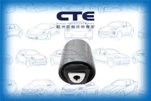 Рычаг подвески CTE CBH09027