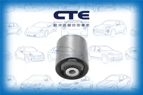 Рычаг подвески CTE CBH19010