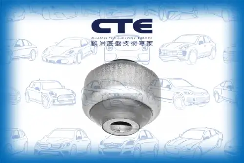 Рычаг подвески CTE CBH19005