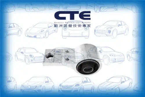 Рычаг подвески CTE CBH03053