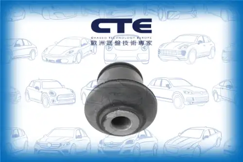 Рычаг подвески CTE CBH03054