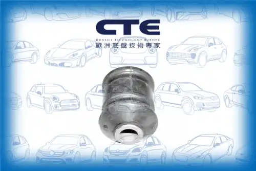 Рычаг подвески CTE CBH15002