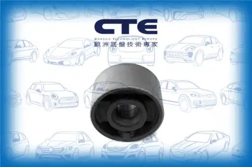 Рычаг подвески CTE CBH09018