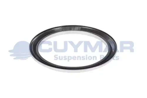 Уплотняющее кольцо, ступица колеса 3412523 CUYMAR