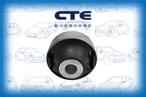 Сайлентблок CBH06048 CTE