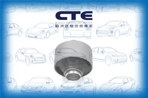 Рычаг подвески CTE CBH02011