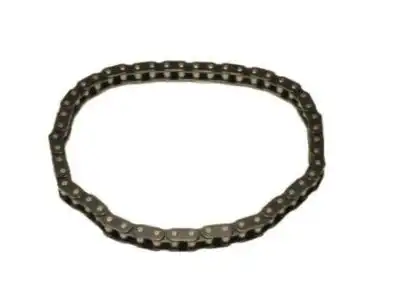 CHAIN,CM/SHF TMG 10114177 CADILLAC