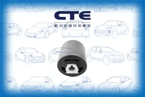 Рычаг подвески CTE CBH09015