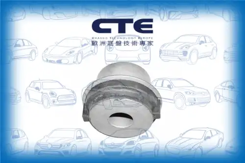 Рычаг подвески CTE CBH21005