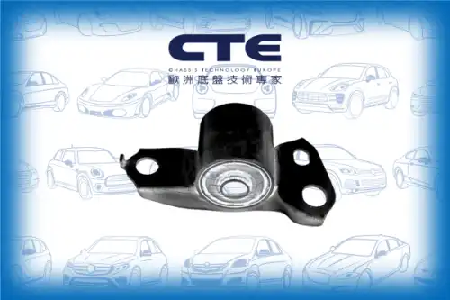 Рычаг подвески CTE CBH03024L