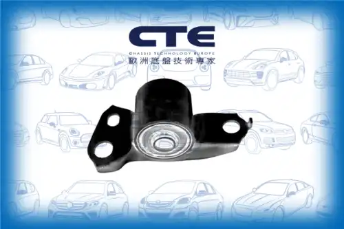 Рычаг подвески CTE CBH03024R
