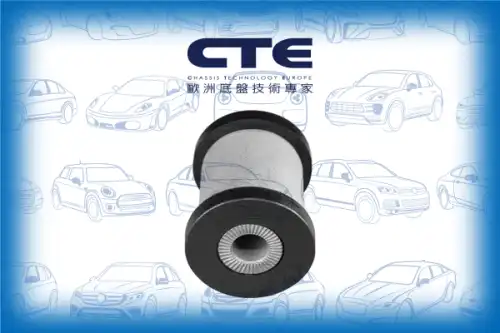 Рычаг подвески CTE CBH26010