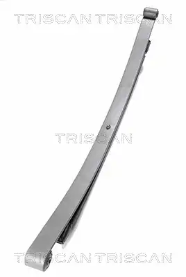 Рессора подвески TRISCAN 8765 23006