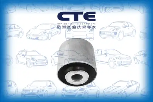Рычаг подвески CTE CBH19016