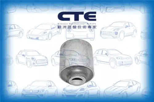 Рычаг подвески CTE CBH05012