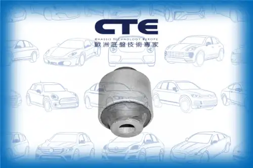 Рычаг подвески CTE CBH01030