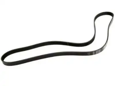 BELT,GEN & A/C CMPR & P/S PUMP 19244956 CHEVROLET