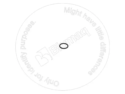 2M9780 УПЛОТНИТЕЛЬНОЕ КОЛЬЦО BLUMAQ