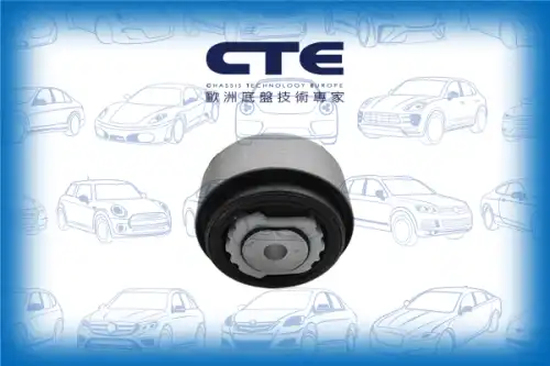 Рычаг подвески CTE CBH32009