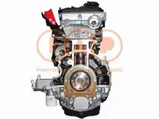 Двигатель (ДВС) в сборе IAP QUALITY PARTS 130-14037G