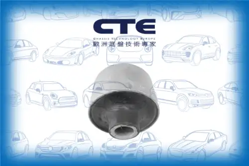 Рычаг подвески CTE CBH03055