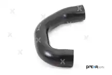 Шланг радиатора P326019 PREXAPARTS