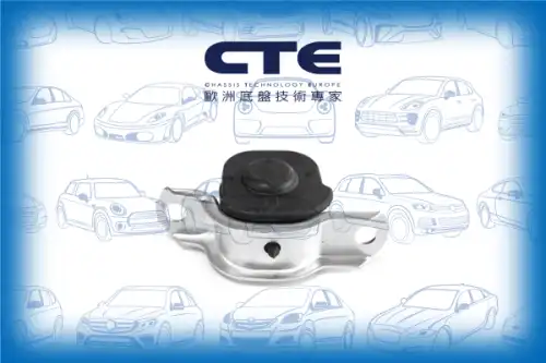 Рычаг подвески CTE CBH05025L